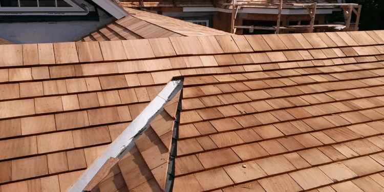 Exploring Local Roofing and Siding Companies: A Comprehensive Guide