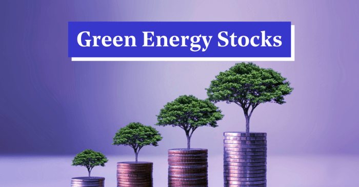 Top Green Energy Stocks in India 2025 – Green Energy Sector Shares List